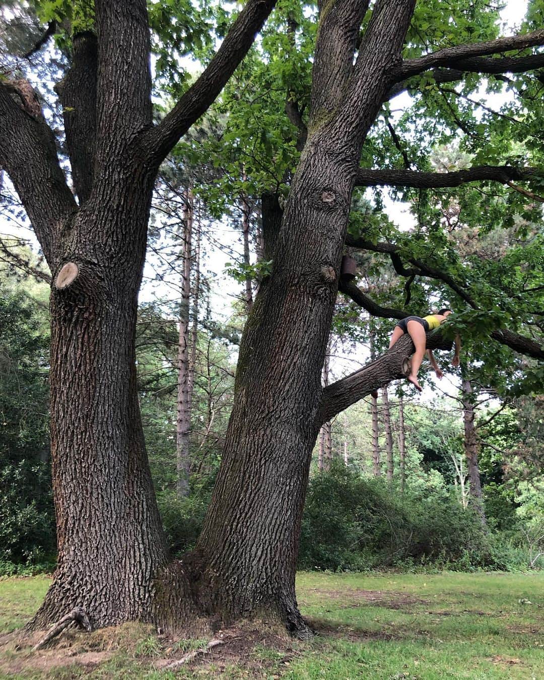 松島エミのインスタグラム：「ナマケモノ発見 Sloth life #sunday」