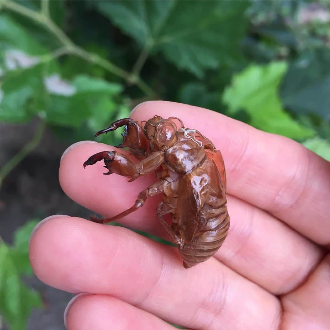 奥田恵梨華のインスタグラム