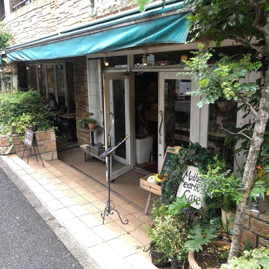 桐山マキさんのインスタグラム写真 - (桐山マキInstagram)「. . 恵比寿にある 素敵ドッグカフェ @motherearthcafe_ebisu  にて KOHARU TEAが 本日より MENU に追加され お店で飲んで頂ける様になりました👏✨💕 . .  自分がメニエール病になり 身体に良いハーブティーをと @kanaalteaatelier と共に 時間をかけて出来上がった KOHARU TEA こんな素敵なカフェのMENU になり とても嬉しいです♡♡♡ . . 私が 愛犬小春ちゃんをモデルとして 描いたパッケージもお気に入りです🐄 沢山の方々に 飲んで頂けます様に👏✨💕 . . #matherearthcafe  #ebisu #japan #herbaltea  #organic  #koharutea #makikiriyama  #love #dog #herthydorink #kanaalteaatelie  #オーガニック #ハーブティー #自律神経 #デトックス #体温上げる #メニエール病 #良くなる様に #美味しいハーブティー #本日より #マザーアースカフェ #メニューに加わりました #嬉しいです #🐄 #❤️」7月22日 17時56分 - maki_kiriyama