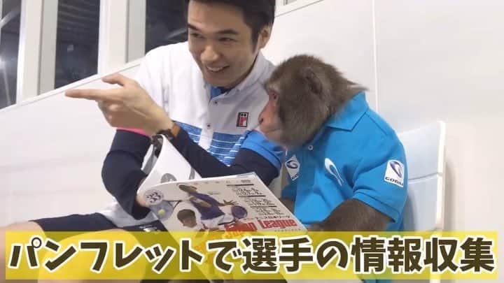 吉崎仁康のインスタグラム