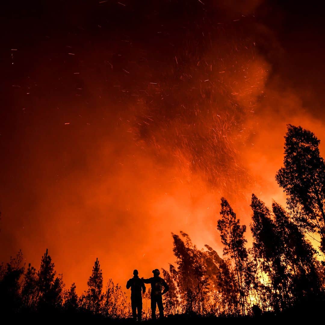 AFP通信さんのインスタグラム写真 - (AFP通信Instagram)「AFP Photo 📷 @patmmoreira - Firefighters monitor the progression of a wildfire at Amendoa in Macao, central Portugal on July 21, 2019.  More than a thousand firefighters battled to control wildfires in central Portugal that have forced village evacuations, in a region where dozens were killed in huge blazes in 2017. The firefighters were deployed to tackle three fires in the mountainous and heavily forested Castelo Branco region, 200 kilometres north of Lisbon, according to the website of the Civil Protection. #Amendoa #Macao #Portugal #wildfire #firefighters」7月22日 18時45分 - afpphoto