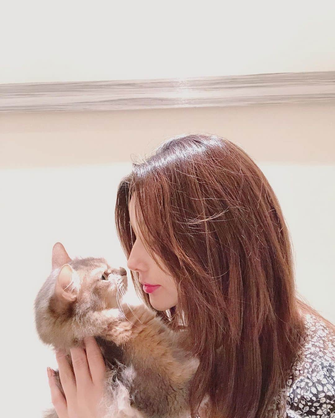 ダレノガレ明美さんのインスタグラム写真 - (ダレノガレ明美Instagram)「キスさせてくれない…💋💋💋 寂しいな〜」7月22日 18時47分 - darenogare.akemi