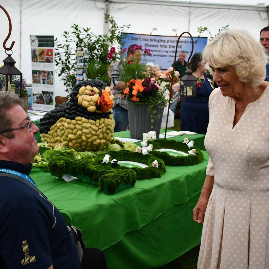 クラレンス邸さんのインスタグラム写真 - (クラレンス邸Instagram)「Today, The Prince of Wales and The Duchess of Cornwall attended the @royal_welsh_show in Llanelwedd, Powys 🏴󠁧󠁢󠁷󠁬󠁳󠁿. Upon arrival, to mark 140 years since the Anglo-Zulu War, TRH watched a military display by members of the Zulu ‘impi’ regiment with King Goodwill and Queen Mpumi, King and Queen of the Zulus.  The Prince met farming leaders and representatives of @countrysidefund, and presented prizes to winning breeders and their sheep and cattle. 🐑🐄 TRH later unveiled the new Welsh Cob Stallion sculpture, which is made of horseshoes from past winning horses, including some donated by Her Majesty The Queen. 🐎 The Duchess visited the floral pavilion and saw a number of horticultural projects from local communities, and met stallholders in the Food Hall, which displays produce that is grown, developed, packaged or produced in Wales. 🌸 #royalwelshshow」7月23日 5時29分 - clarencehouse