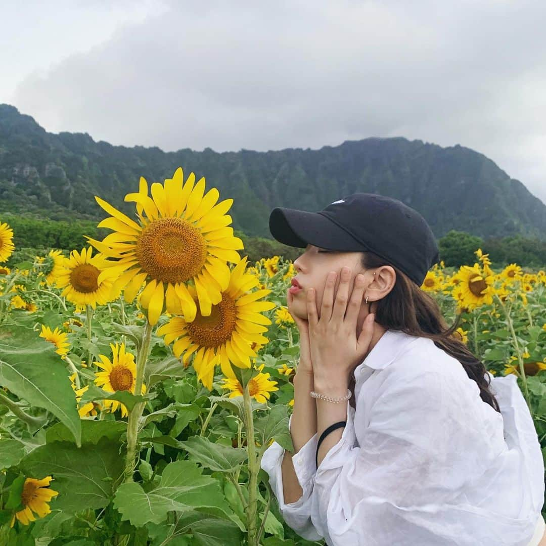 ジスさんのインスタグラム写真 - (ジスInstagram)「☀️sunflower🌻」7月23日 5時40分 - sooyaaa__