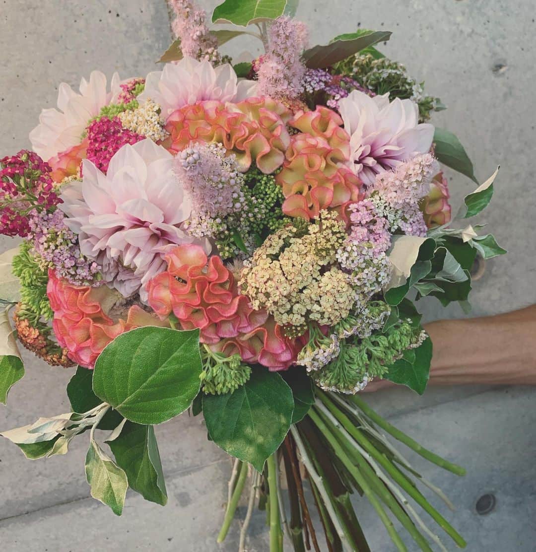 畑野ひろ子のインスタグラム：「デリバリーフラワーのブーケ。  #flower #flowers #bouquet #willgarden」