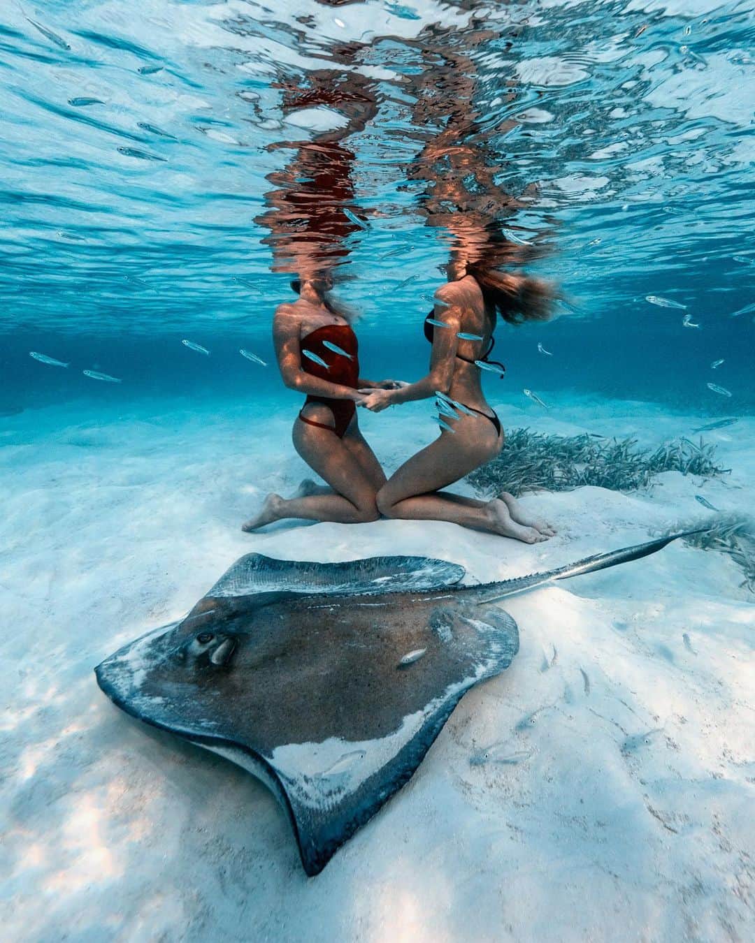 サシャ・カリスのインスタグラム：「Always making new friends underwater 😉💦 With @sjanaelise 💙」