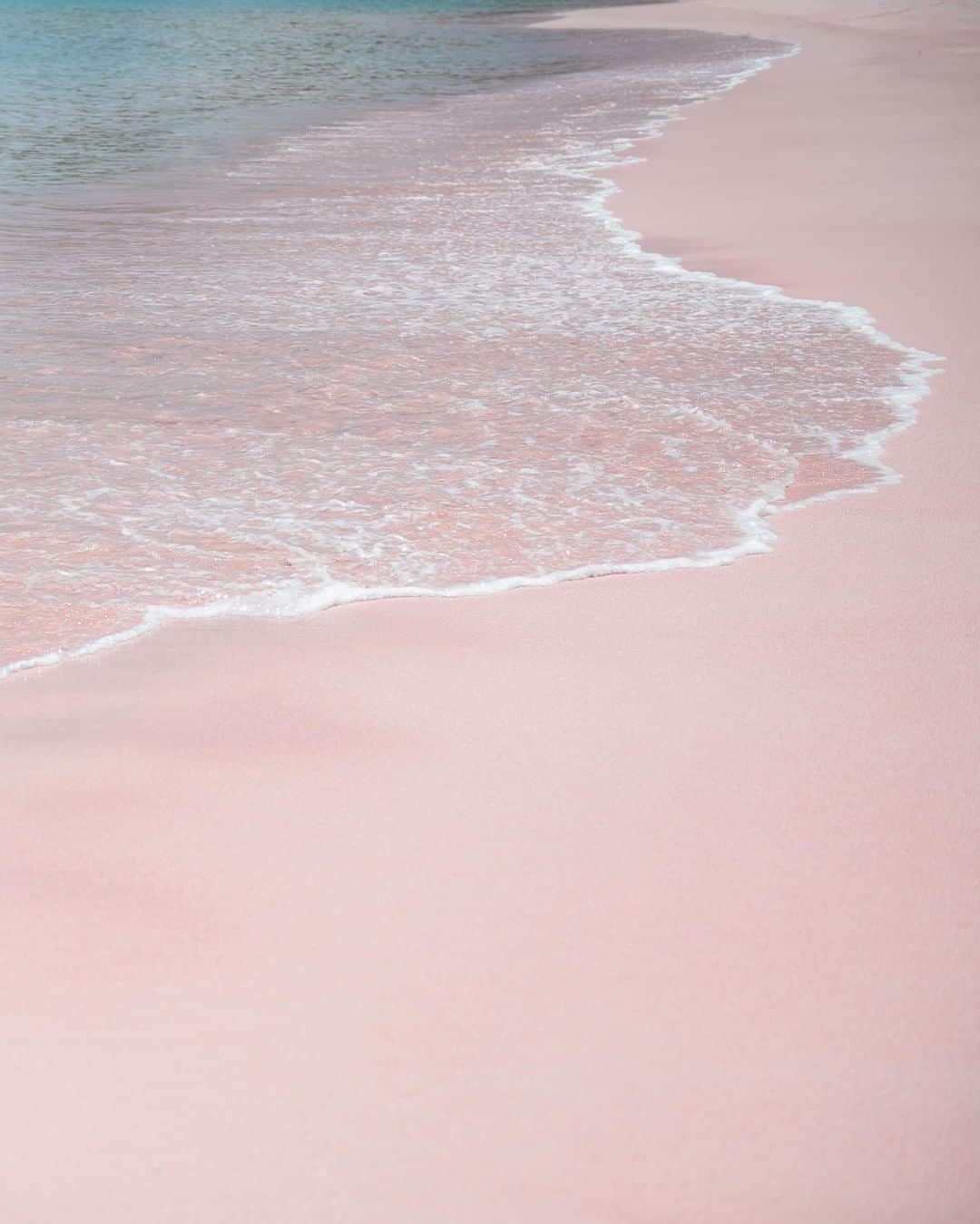 リモワさんのインスタグラム写真 - (リモワInstagram)「Catching the light of the Indonesian sun, the sands of this pink beach glow a light blush hue. Kanawa Beach is one of only a handful of beaches of this shimmering tone. Caused by specks of red coral living in the shallow waters mixing with grains of sand, the result is an iconic shade that draws curious visitors to its isolated shores.⁣ ⁣⁣ ⁣⁣#RIMOWA #RIMOWAplaces」7月22日 22時00分 - rimowa