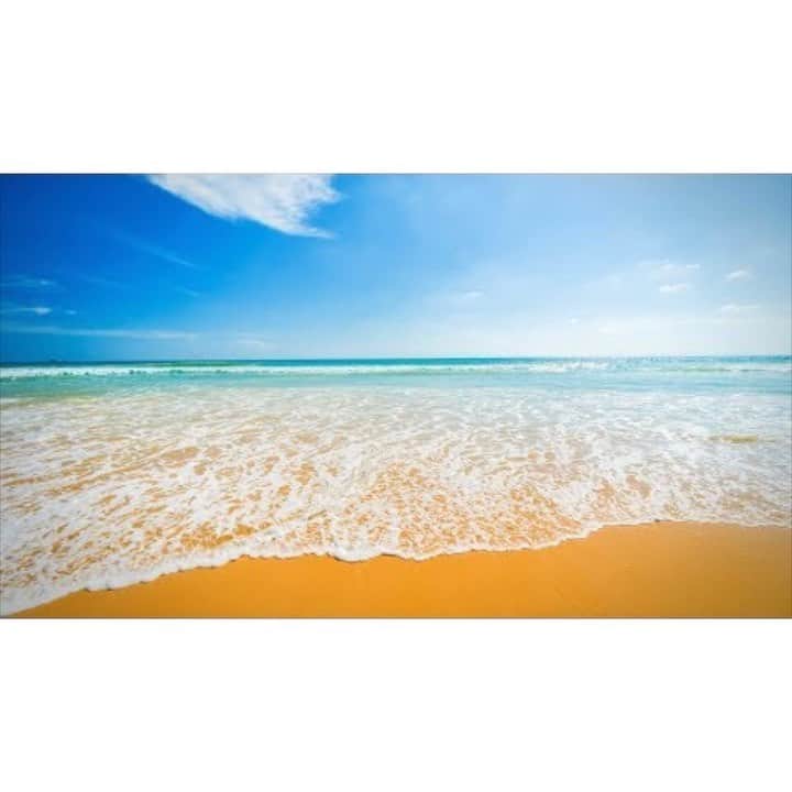 のインスタグラム：「🌊Easy Listening Ocean Sounds - Meditation Music Relax Mind Body | Sleep Ambient Music Therapy 🌅Morning Monday Jazz & Bossa Nova - Relaxing Instrumental Cafe Music for Great Mood 😌Healing Guitar - Ambient Easy Listening Instrumental Music for Relaxing  Please check the full version on #youtube from profile URL.  #relaxmusic #relaxingmusic #relaxationmusic #chillinmusic #chillmusic #chillingmusic #calmingmusic #soothingmusic #elevatormusic #instrumentalmusic #peacefulmusic #smoothmusic #newagemusic #deepsleepmusic #sleepmusic #stressreliefmusic #healingmusic #meditationmusic  #zenmusic #ambientmusic #jazz #jazzmusic #bossanova #bossamusic #bossanovamusic #oceansounds」