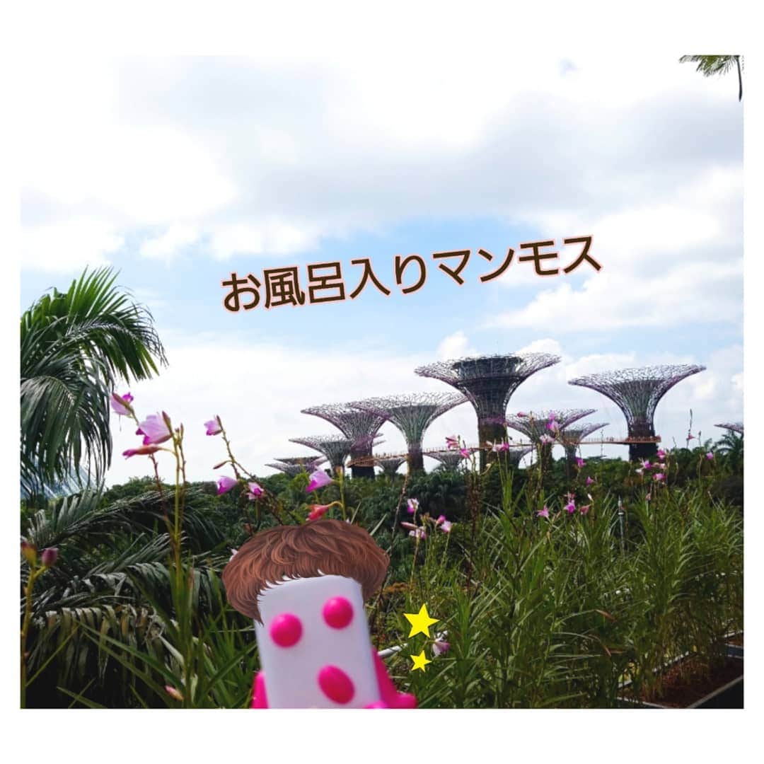 UHA味覚糖公式アカウントのインスタグラム