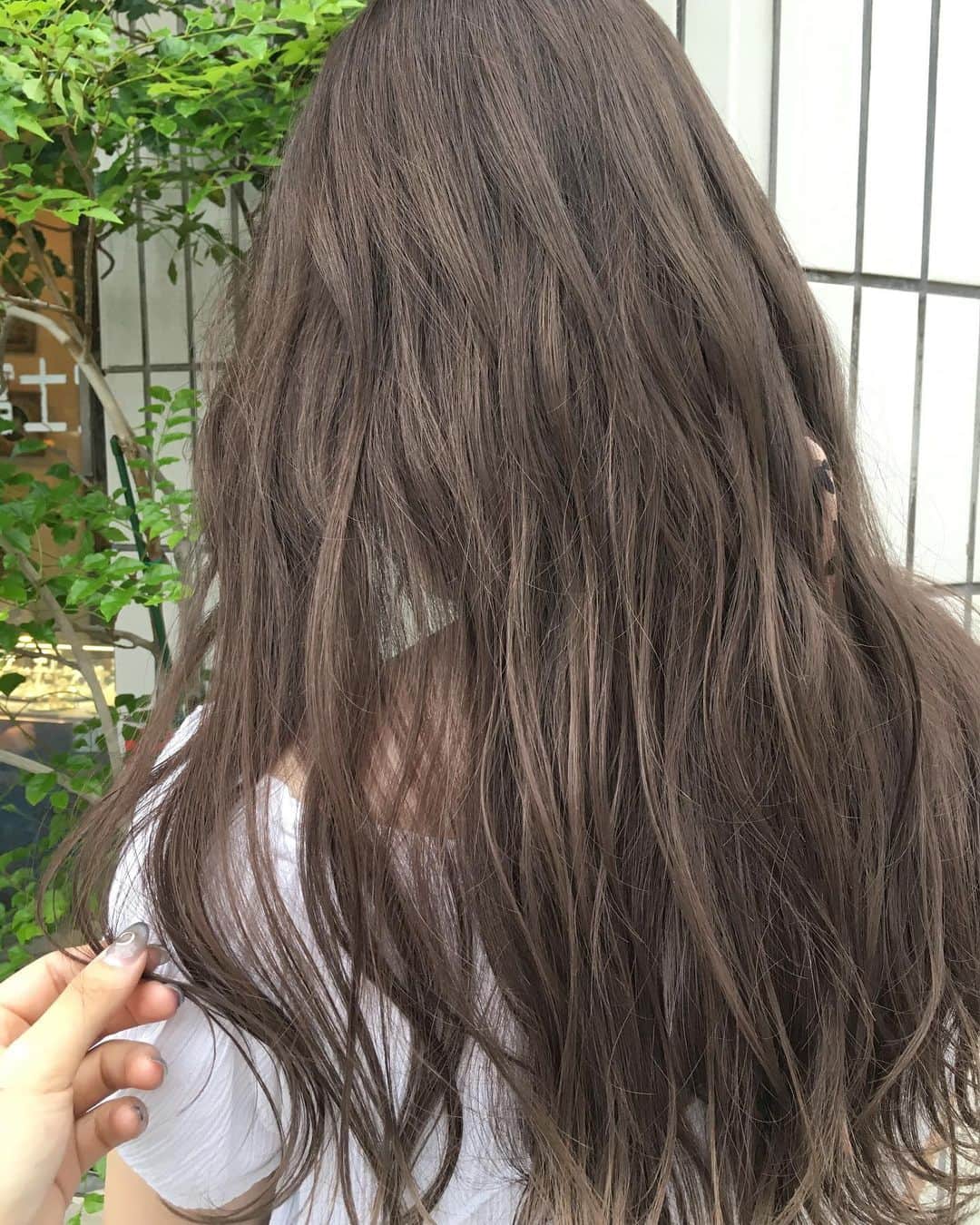大石亜里紗のインスタグラム：「大人気急上昇中🧸💖！ ミルクティーカラー🍼💗 . 顔色も良く、服はシンプルに ヘアはまろやかな透け感🐄🌿 . . 柔らかいハイトーンカラー お任せください🦔🌿✨ DM・☎︎からのご予約がおススメ🌻 . –––––––––––––––––––––––––––– . . #crea_arisa 大人気のおススメカラー🌿 #ミルクたっぷりカラー🥛 . 色素薄い外国人のような 赤味のないカラーなら お任せください👩🏼💐 . . #ミルクティーベージュ #ミルクティーカラー #ミルクティーアッシュ #ミルクティー色 #ミルクティーグレージュ #ミルキーベージュ  #クリーミーベージュ」