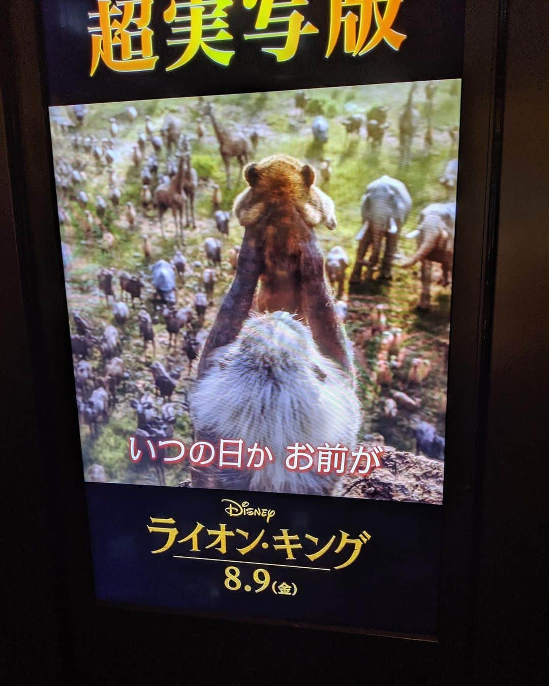 高橋メアリージュンさんのインスタグラム写真 - (高橋メアリージュンInstagram)「Disney「ライオン・キング」Japanプレミアに行ってきました！子供の頃からライオンキングの大ファンなんですが、気持ちいい程原作に忠実でむしろ超えて下さってありがとうございます！ ・ ・ でね、こういう時って「なんといっても○○！」って言うじゃないですか。正直、映像美も音楽もストーリーも全てが感動グラフはみ出してしまっていて、「なんといっても！」が言えない状態です。 全てがただただすごい。これ作った人間すごくない？って思います。 何回泣きましたかね…。初っ端から映像美で泣き、琴線に触れる壮大な音楽(大ファンの #hanzzimmer に #pharellwilliams )に泣き、ストーリーに泣き、CGを忘れる程の彼らの生きた表情に泣き… そして声出して笑ったり。笑。 ただただ素晴らしかった。 もうこれは殿堂入り決定。 もう一回観るし、DVD出たらすぐ買って何回も観たい。 ・ ・ しかも我らがDIVA @beyonce  がナラ役で声優を務めていてもちろん歌ってます。彼女然りみんな歌うますぎます。。全てのレベルが高すぎた…。 ・ ・ これ、わざわざ言葉かけなくてもリアルにキングオブエンタメ映画。 8/9 公開です。激しくおススメします🎞この映画を作ってくれた皆さん、本当にありがとうございます😭🙏🦁🌅 ・ ・ あー、シンプルに見えてなんて深い話なんだ…。余韻が…。(まだ観終わって1時間未満) 文章だけじゃ伝わらないのでストーリーもアップします！  #ライオンキング  #これぞキングオブエンタメ  #だからライオンが好きなんだよ #disney #Ilovelionking #動物占いライオン #🦁👑 -------------- Went to Disney #lionking Japan premier. I'm a big fun of lion king since I was kid. The movie was nicely true to the original or rather, I might say it beyond the original.  Really appreciate it😭🙏💕」7月22日 22時56分 - maryjuntakahashi