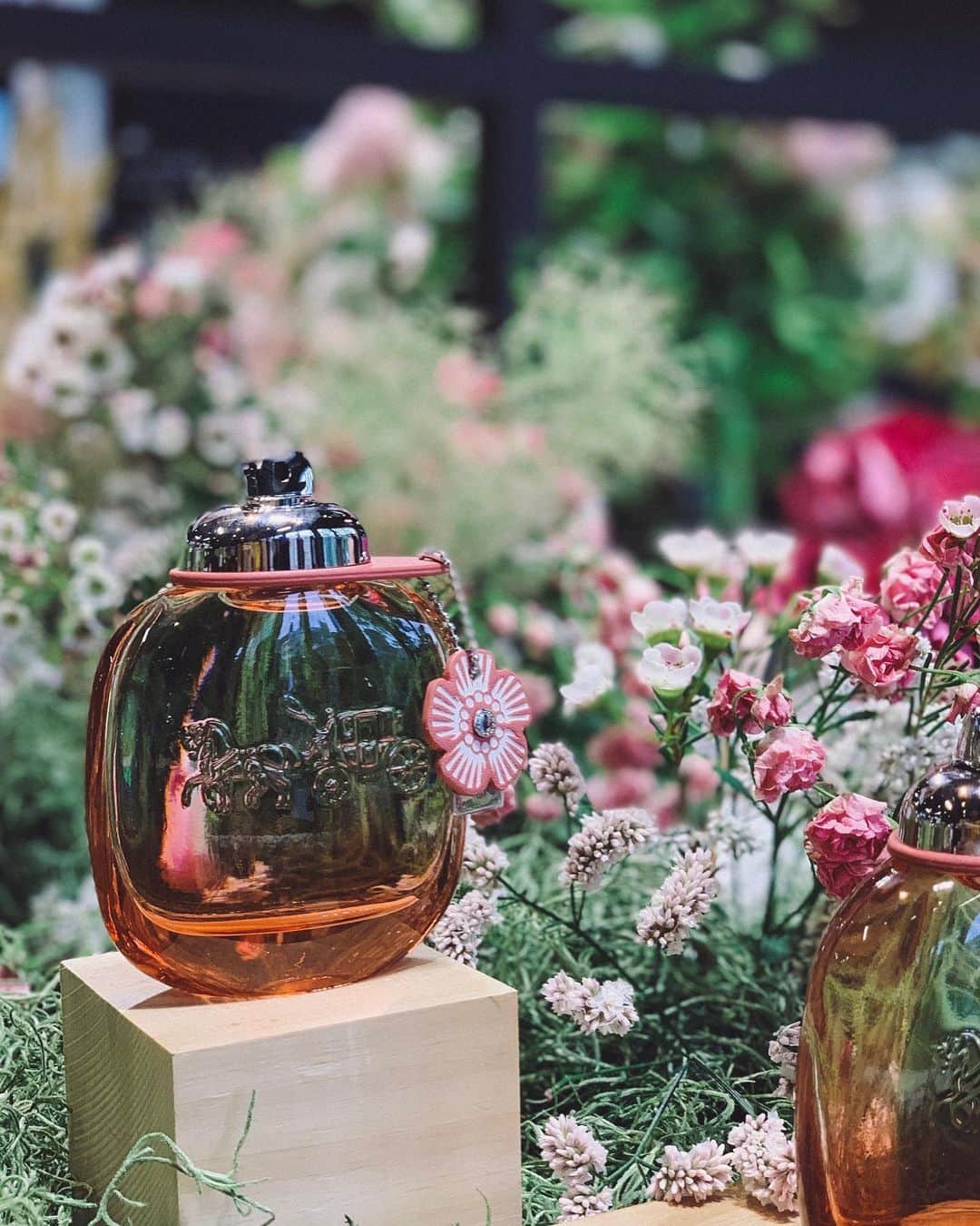 神林真里さんのインスタグラム写真 - (神林真里Instagram)「Fragrance Marché @latelierdesparfums_jp 💐🌱﻿ フレグランスマルシェで、この秋発売される新フレグランスをチェックしてきました！﻿ 良い香りであふれる空間と香りを表現するディスプレイがとっても素敵だった😍😍﻿ パーソナルコンサルテーションでは今の自分に合う香りも提案していただいたの😌✨ そして9月発売の新しい #クロエ は、ローズベースでやっぱり良い香り🌹 これはまた人気になりそう👏👏💓﻿ お気に入りの香りに出会えるとワクワクしますよね*\(^o^)/* ﻿ 公式オンラインでは、同じコンセプトストアがPOP-UP STOREとして9月に期間限定オープンするよ✔️﻿ 👩‍💻http://bit.ly/31TGVEM ﻿ ﻿ ﻿ ﻿ ﻿ ﻿ ﻿ ﻿ ﻿ ﻿ ﻿ ﻿ ﻿  #ラトリエデパルファム #フレグランスマルシェ #香りのある生活 #香水 #香水好き #香りフェチ #癒し #香り好き #女子力 #お気に入り #コスメ好き #花のある暮らし #クロエ香水 #pr #fragrance #beauty #sharegreenminamiaoyama」7月22日 23時10分 - maripo_jp