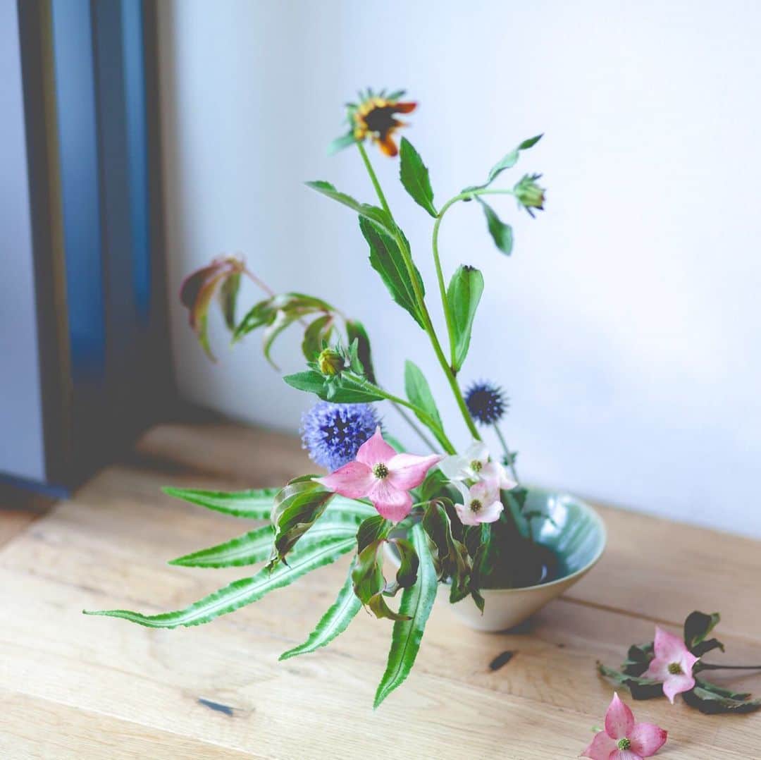 前田有紀さんのインスタグラム写真 - (前田有紀Instagram)「少し前に、 @lovegreen_official の企画で、鎌倉で活動されているTumbler&FLOWERS 渡来徹 @watara_ikebana さんの生け花教室を取材させていただき、そのままちょこちょこ習いにいっています。会場のVERVE COFFEE はとてもよく訪れる場所で、コーヒーを飲みながら生け花に触れられる気軽さも嬉しい。 . 私は日々花をたくさん扱う仕事をしているけど、こんなにじっくりと眺めたのは久しぶりだなぁと新鮮な気持ち。ものすごく深く知りたくなってしまって、時間を見つけては参加しています。渡来さんの生けた花たちは、ものすごくかっこよく決まってて、どこか切なくて、そのバランスが絶妙。ずっと眺めていたくなる。 . 次の教室を心待ちにしている。 @lovegreen_official でも取材記事がアップされています。 次回は8月7日水曜9時30分〜とのこと。私も仕事が入らなければ参加しようと思います。鎌倉のみなさん、一緒に生け花体験してみましょう！ . . また今日も鎌倉にてLOVEGREENの撮影。素敵なお店を取材したので、またお知らせしますね、お楽しみにー！ #渡来徹 #lovegreen #tumblerandflowers」7月22日 23時16分 - yukimaeda0117