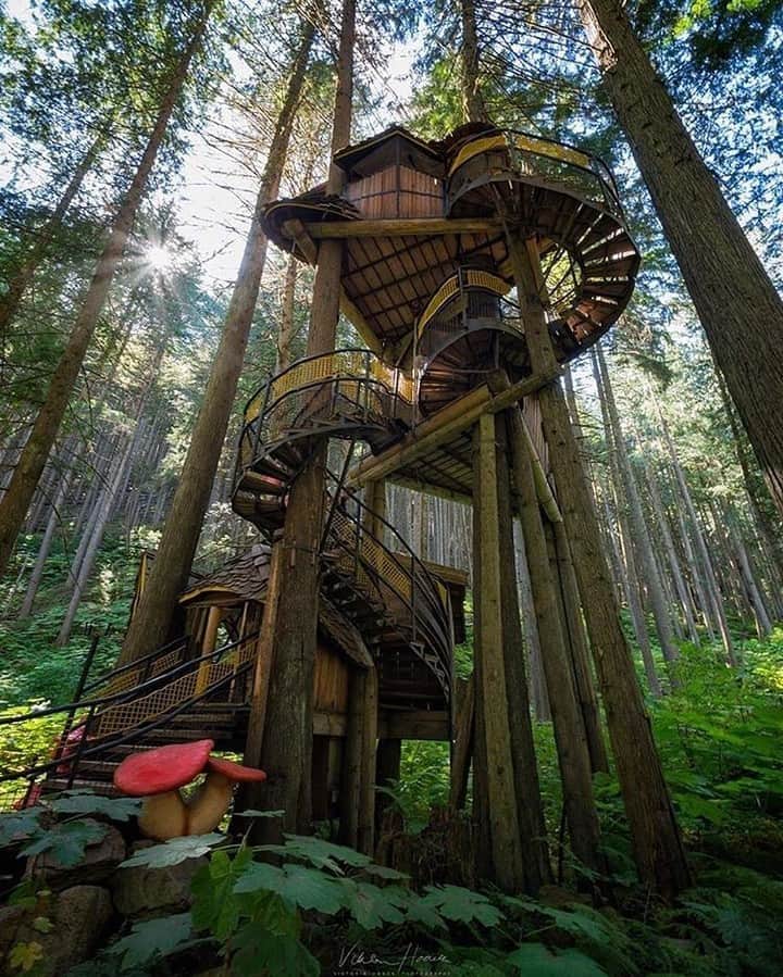 Explore Canadaさんのインスタグラム写真 - (Explore CanadaInstagram)「The aptly named Enchanted Forest is a must-see along the Trans-Canada Highway, between Revelstoke and Sicamous in British Columbia. Did you know this three-storey structure is considered British Columbia's largest treehouse? #ExploreCanada⁠ ⁠ 📷@viktoriahaack⁠ 📍@hellobc⁠ ⁠ #ExploreBC⁠ ⁠ ⁠」7月23日 0時01分 - explorecanada