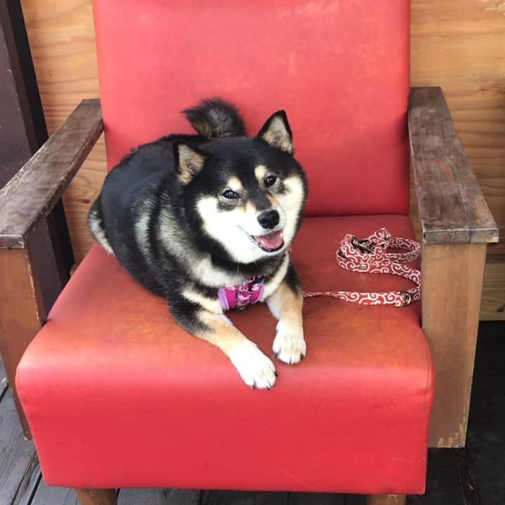 吾子のグルメインスタ