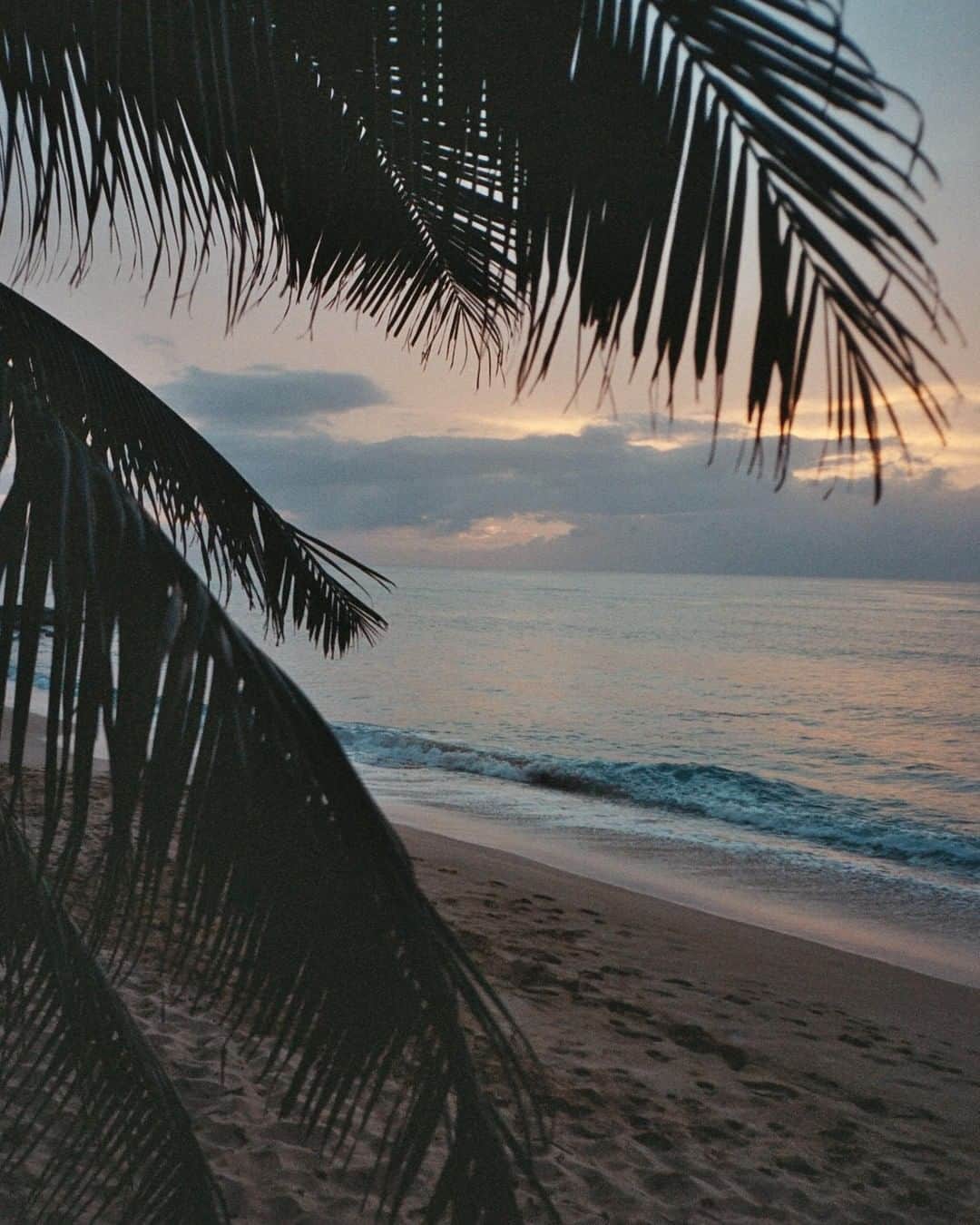 ロキシーさんのインスタグラム写真 - (ロキシーInstagram)「Sunset on film during our #ROXYxSister shoot in Hawaii」7月23日 0時13分 - roxy