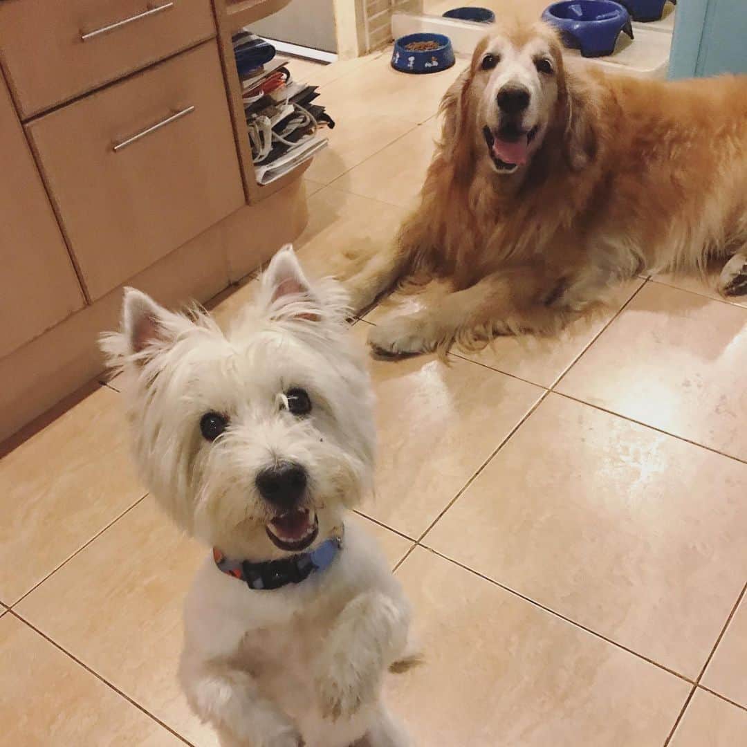 Hoykong&Plamuekのインスタグラム：「Happy face 😊 #hkpm」