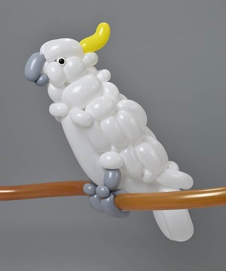 Instagramさんのインスタグラム写真 - (InstagramInstagram)「“When most people think of balloon art, they think of a poodle made from a single balloon,” explains chemical engineer and balloon art hobbyist Masayoshi Matsumoto (@isopresso_balloon), who creates complex artworks of multiple balloons with no help from adhesives, markers or sealants. 🤯🎈⁣ ⁣ Photos by @isopresso_balloon」7月23日 1時14分 - instagram