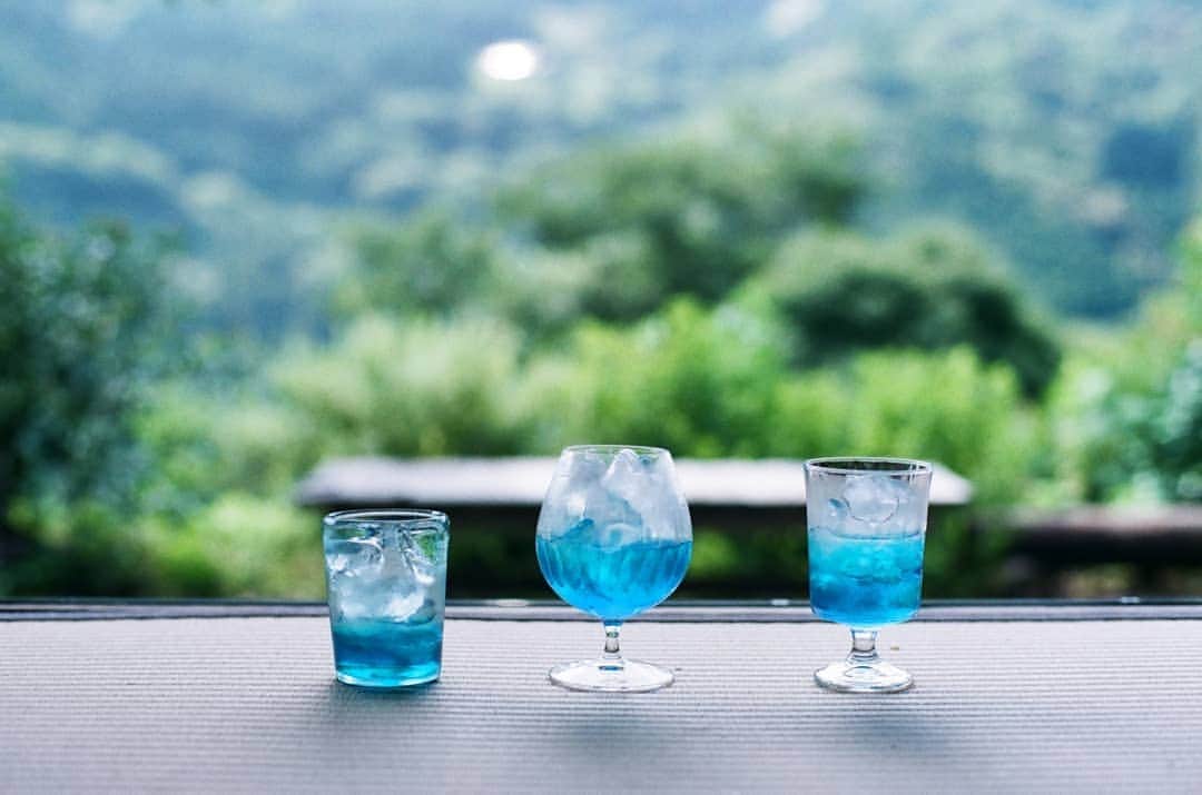 岩倉しおりさんのインスタグラム写真 - (岩倉しおりInstagram)「夏のソーダ。 青色が綺麗で見とれてしまった。」7月23日 1時17分 - iwakurashiori