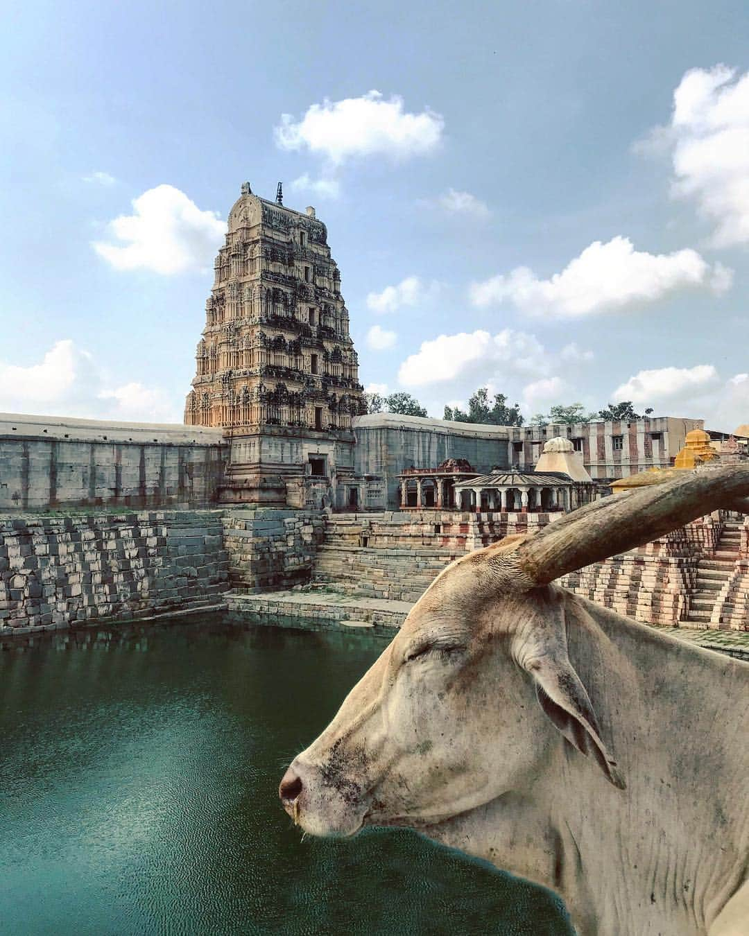 appleさんのインスタグラム写真 - (appleInstagram)「“Hampi is a wonder. Humans, animals and gods, all existing in the same space.” #india #ShotoniPhone by Pierre L. @pitoou」7月23日 1時31分 - apple