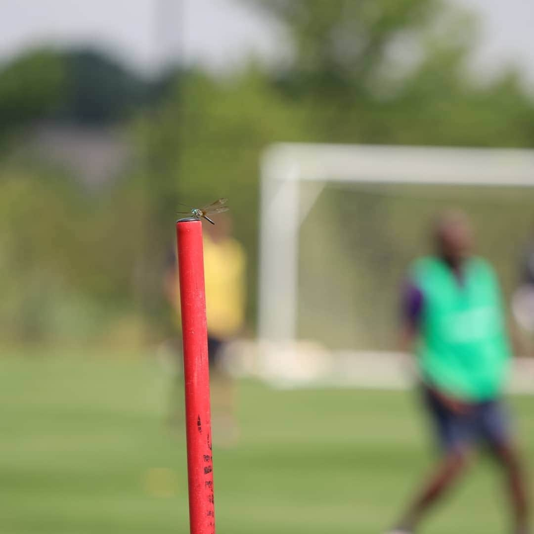 ACFフィオレンティーナさんのインスタグラム写真 - (ACFフィオレンティーナInstagram)「#NewYork training day 2 #ICC2019  #ForzaViola  @intchampionscup」7月23日 1時33分 - acffiorentina