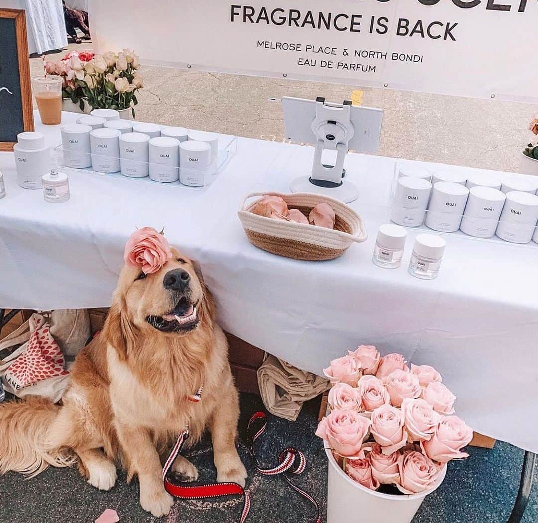 JEN ATKINさんのインスタグラム写真 - (JEN ATKINInstagram)「Yesterday was one of those amazing days where an idea @theouai team came up with was brought to life in the most fun way possible🙏🏼. Thank you to everyone who stopped by our booths at both Brentwood and Melrose farmers markets! See you next week at the Palisades and later in Chicago & Miami (dates on my Story) 🌸🍏🍒🍉✨」7月23日 1時59分 - jenatkinhair