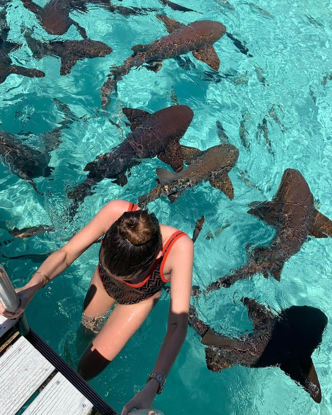 ティラーヌ・ブロンドーのインスタグラム：「Just to let u know I look ok but I was terrified 😂🦈」