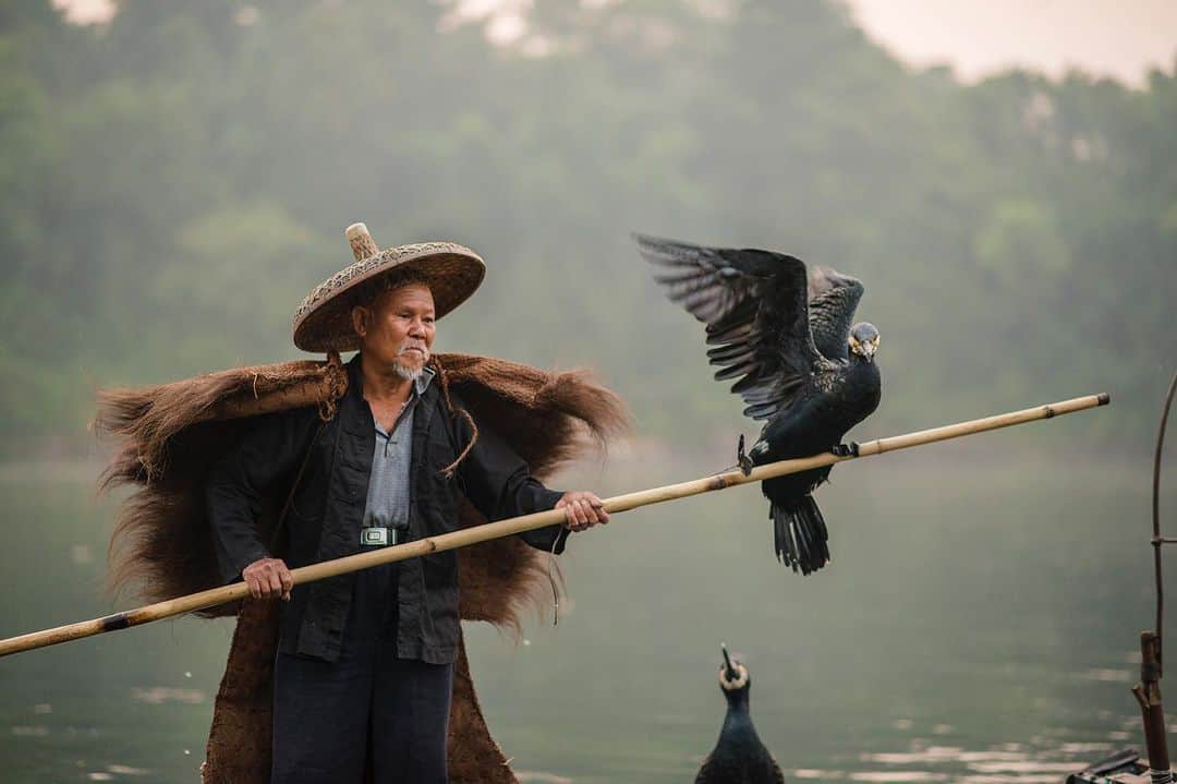 National Geographic Creativeさんのインスタグラム写真 - (National Geographic CreativeInstagram)「Photo by @carstenpeter | A cormorant fisherman rows through the Li River in the Guangxi region of China. #Fishing #China #River」7月23日 3時13分 - natgeointhefield