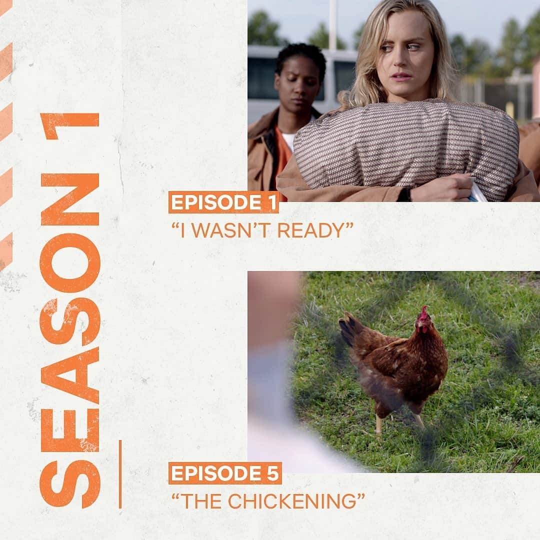 ネットフリックスさんのインスタグラム写真 - (ネットフリックスInstagram)「tbh, i need a little chicken power today 🐓 swipe for the @oitnb episodes you gotta see before the final season, courtesy of @whattowatchonnetflix」7月23日 3時30分 - netflix