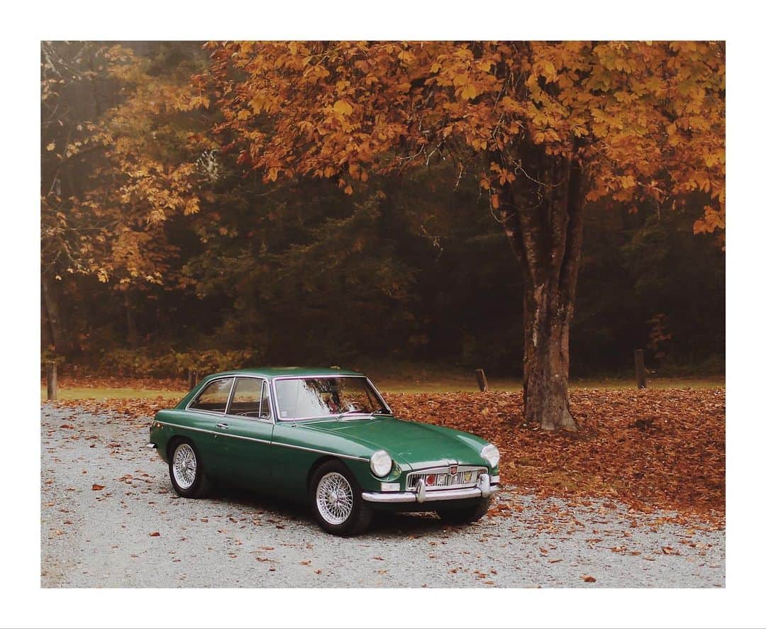 Cory Staudacherのインスタグラム：「Classic」