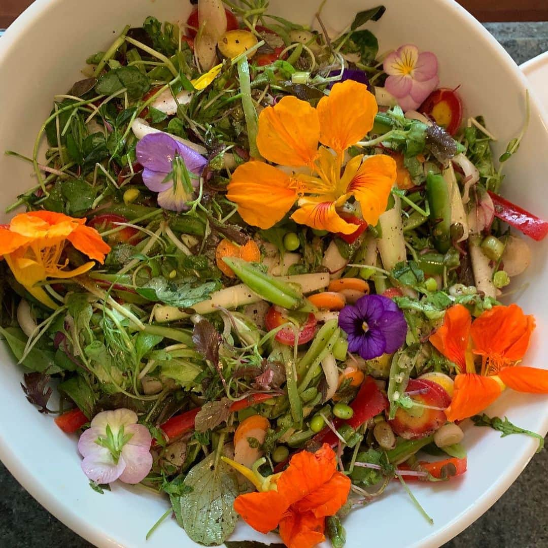 ドリュー・バリモアさんのインスタグラム写真 - (ドリュー・バリモアInstagram)「#beautyjunkieweek #flowerfood we can actually have edible flowers this summer and put something beautiful and romantic into our bodies by putting it on our plate. It even looks glorious in the sink!」7月23日 3時45分 - drewbarrymore