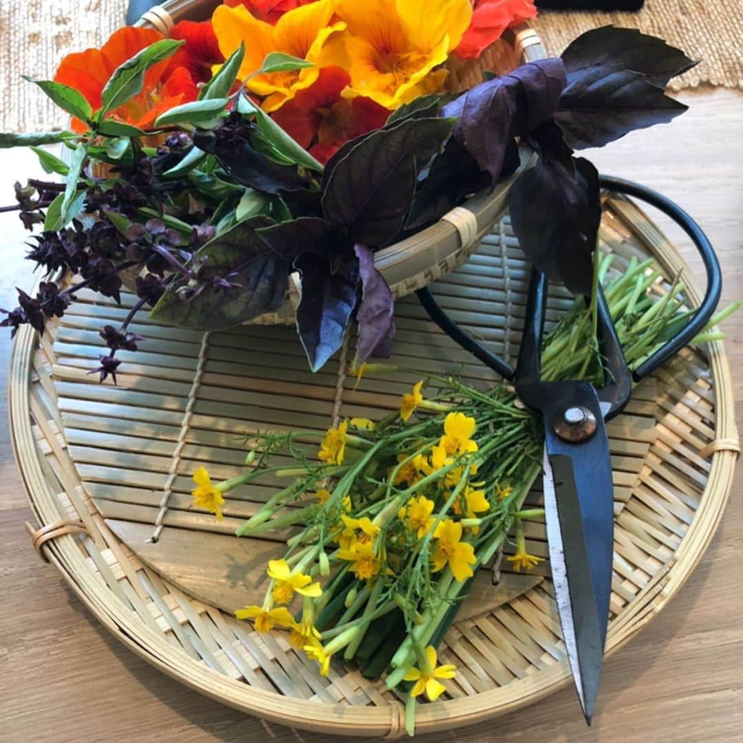 ドリュー・バリモアさんのインスタグラム写真 - (ドリュー・バリモアInstagram)「#beautyjunkieweek #flowerfood we can actually have edible flowers this summer and put something beautiful and romantic into our bodies by putting it on our plate. It even looks glorious in the sink!」7月23日 3時45分 - drewbarrymore