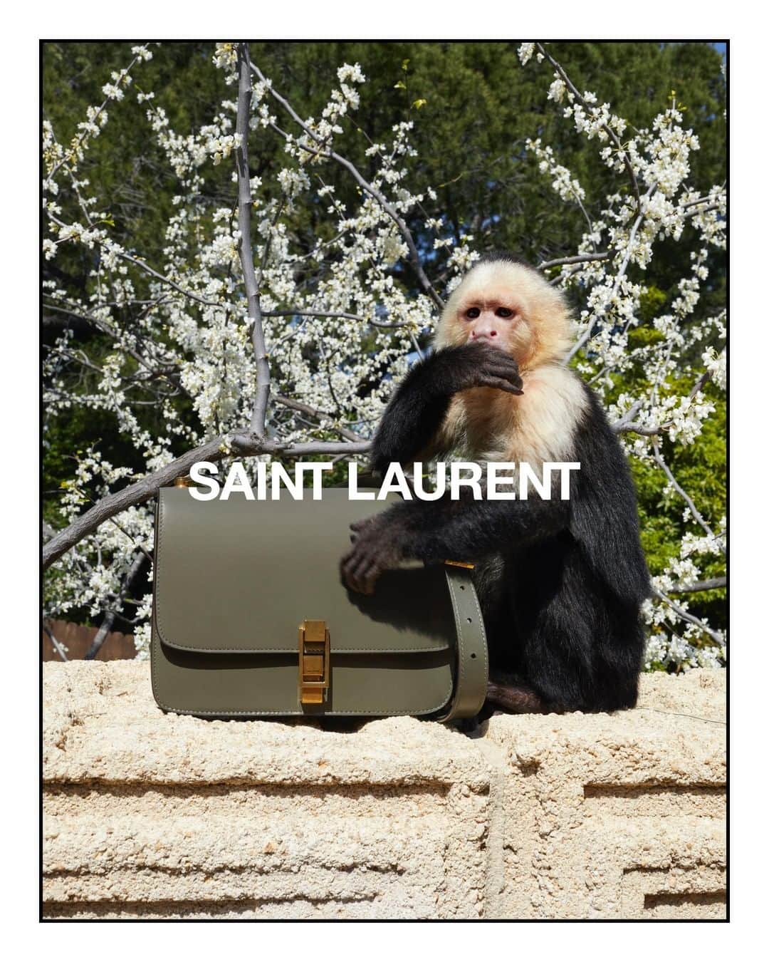サンローランさんのインスタグラム写真 - (サンローランInstagram)「ALLIE - LE CARRÉ #YSL25 by ANTHONY VACCARELLO PHOTOGRAPHED by JUERGEN TELLER  #YSL #SaintLaurent #YvesSaintLaurent @anthonyvaccarello」7月23日 4時00分 - ysl
