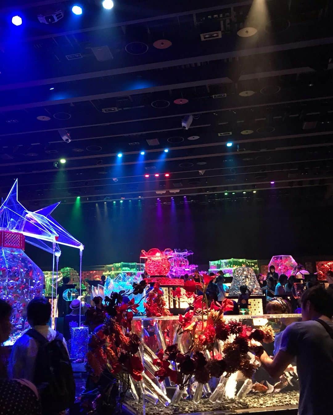 亜聖樹さんのインスタグラム写真 - (亜聖樹Instagram)「昨日は開演前にアートアクアリウムに行ってきました♩ とても幻想的でした✨ 早いもので「牡丹灯籠」も残り2日！ 本日もよろしくお願いします♩  #アートアクアリウム  #牡丹灯籠」7月23日 14時18分 - akkyontanaka