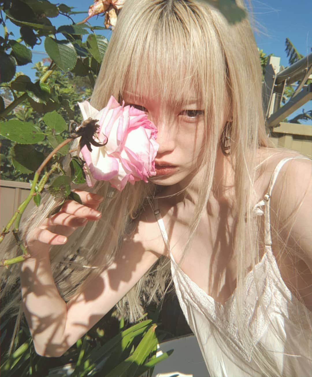 フェルナンダ・リーのインスタグラム：「My mother has always had so many plants in the backyard. I've  grown to like them, but her numerous hanging spider plants scared me when I was younger.  Tong and I mostly sit on the deck and sunbake together 🌞🌞🐶 #secretgardenrose (?) #labradorretriever  #crassulaovata」