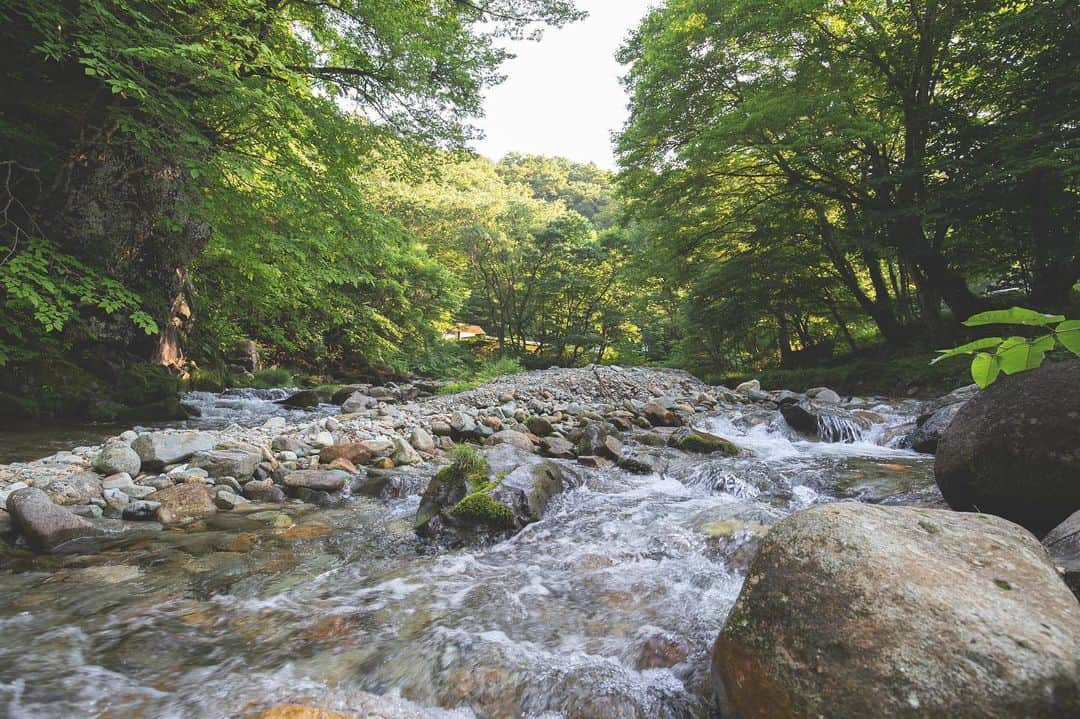 東北女子さんのインスタグラム写真 - (東北女子Instagram)「. 仙山線之旅──#奧新川 . 去了威士忌酒廠後 就來是哪條溪流釀出這麼好喝的威士忌🥃 之前就聽說奧新川的自然步道很美很適合散步🙋‍♀️ . 沒想到...... 這裡竟然在今年4月因大雨破壞步道而封閉 . 想遊步道的人不用在這站特地下車， 自駕的人可以像我一樣在入口處玩耍就好👣 . #奧新川 #通行止め 交通：從JR奧新川站徒步20分鐘前往 . ✨#東北女子仙山線之旅 . #日本東北  #宮城 #東北女子travel #東北女子 #風景 #新川ライン #奥新川ライン #tohoku #仙山線 #自然景觀 #仙台カメラ部 #仙台 #sendai #仙山映え #日本旅遊 #日本自由行 #東北旅遊 #広瀬川 #japantravel #japan_photo #tohokujapan #JAPANKURU」7月23日 14時40分 - tohoku_girl_official