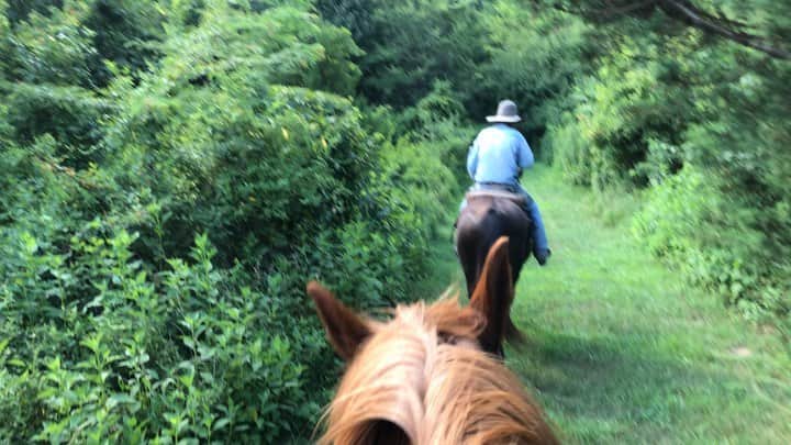 アダム・シャピロのインスタグラム：「I’m sincerely loving this horse life」