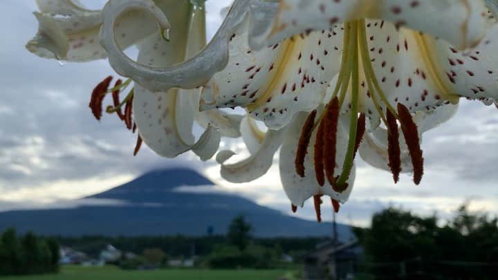 のインスタグラム：「. 🤩🤩“Shizuoka” prefecture in Japan is a place where you can see the most “phantastic” Mt. Fuji🗻 in the world.🤩 #富士山 #mtfuji #japan #shizuoka #fujinomiya  #phantastic420photography #mostphantasticmtfuji #selamatpagi  #goodmorning  #おはようございます 😇😇😇😇😇😇😇🗻😇😇 突然出て来ても困ってしまいます🤣」