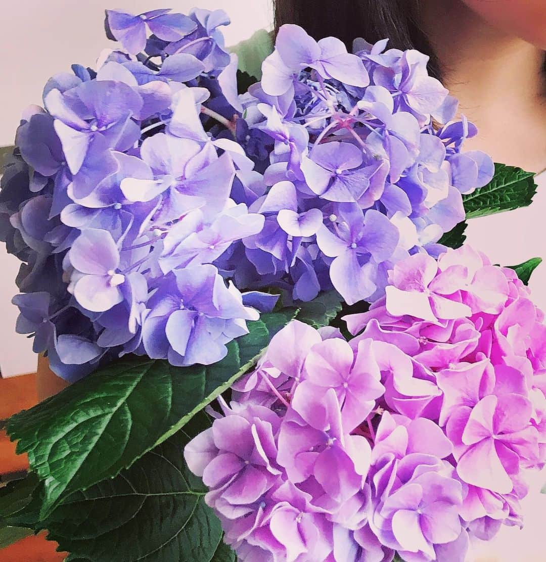 前野えまさんのインスタグラム写真 - (前野えまInstagram)「じめじめした天気が続いてるけど、この季節は綺麗な紫陽花をたくさん見られるから嬉しいです💜  #紫陽花 #あじさい #紫 #お花好きな人と繋がりたい #梅雨の花 #夏の花  #前野えま」7月23日 7時46分 - maeno_ema