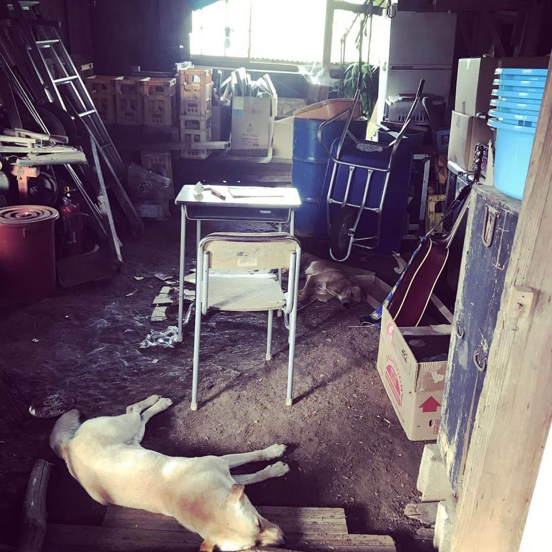 三宅洋平さんのインスタグラム写真 - (三宅洋平Instagram)「My studio in Naya 納屋 (barn) surrounded by dogggy barrier.  #納屋スタ #犬式 #inushiki #dogggystyle」7月23日 8時00分 - miyake_yohei