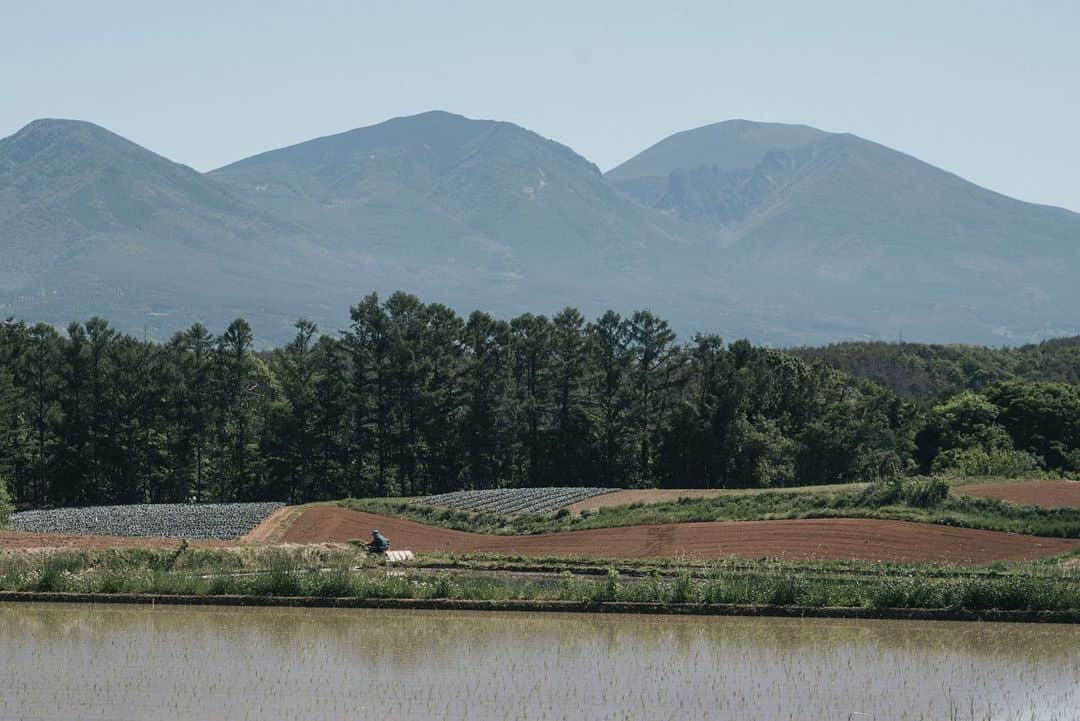 ヒラハルのグルメインスタ