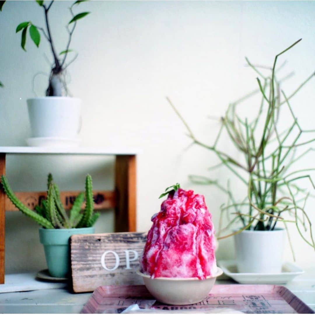 ゆうゆのグルメインスタ