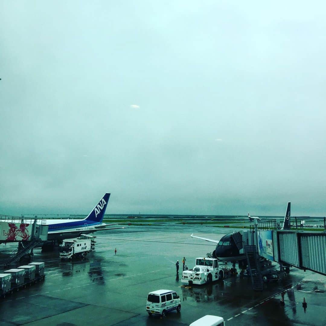 渋谷慶一郎のインスタグラム：「高野山、日帰り。ロスから来た仏教徒と高野山の仏教徒とあるプロジェクトの打ち合わせ、下見に。 Go to Mt.Koyasan. Meeting with Japanese and American Monks for our ceremony and concert.」