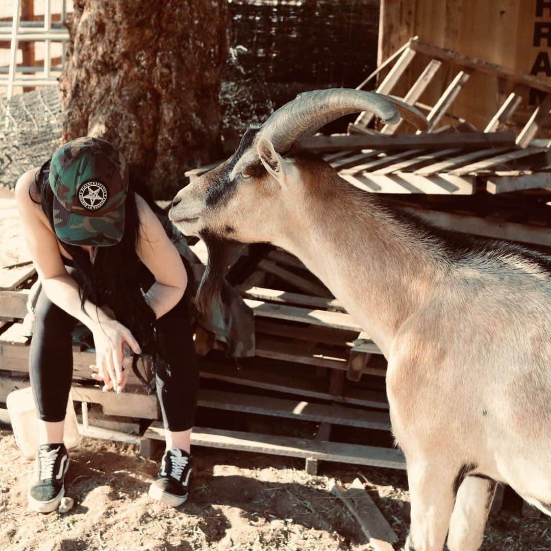 サラヤ・ジェイド・ベヴィスさんのインスタグラム写真 - (サラヤ・ジェイド・ベヴィスInstagram)「Got to go on a #GoatWalk with my girl @rondarousey yesterday. I can’t wait for you guys to check out what happened 😂 go on a goat walk they said, it’ll be fun they said.. but for real it was super fun and I’m excited for you guys to see it! Keep up with everything at @rondarouseydotcom ..side note. She was born to be a mum. She sent me home with like 6 steaks, jam and an unlimited supply of twizzlers 😂❤️ 📸: @l2aquel」7月23日 8時48分 - saraya