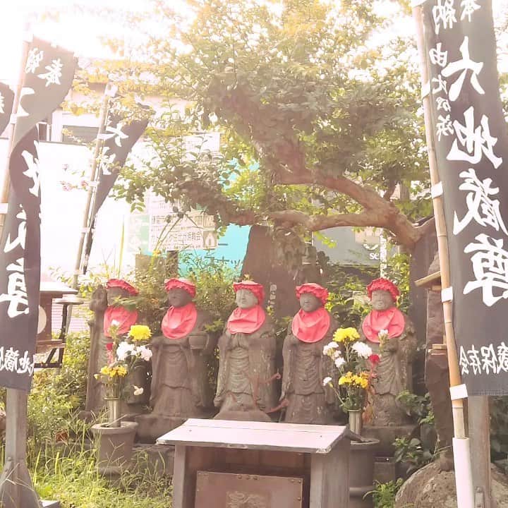 ココハウスのグルメインスタ