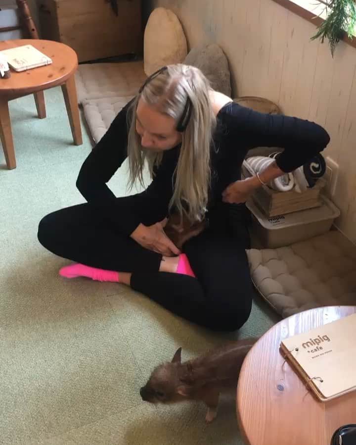 シーアのグルメインスタ