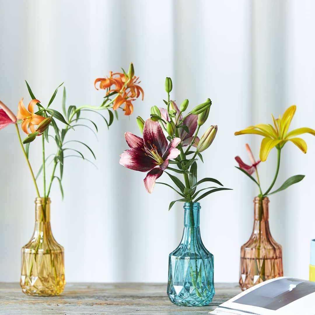 青山フラワーマーケットのグルメインスタ