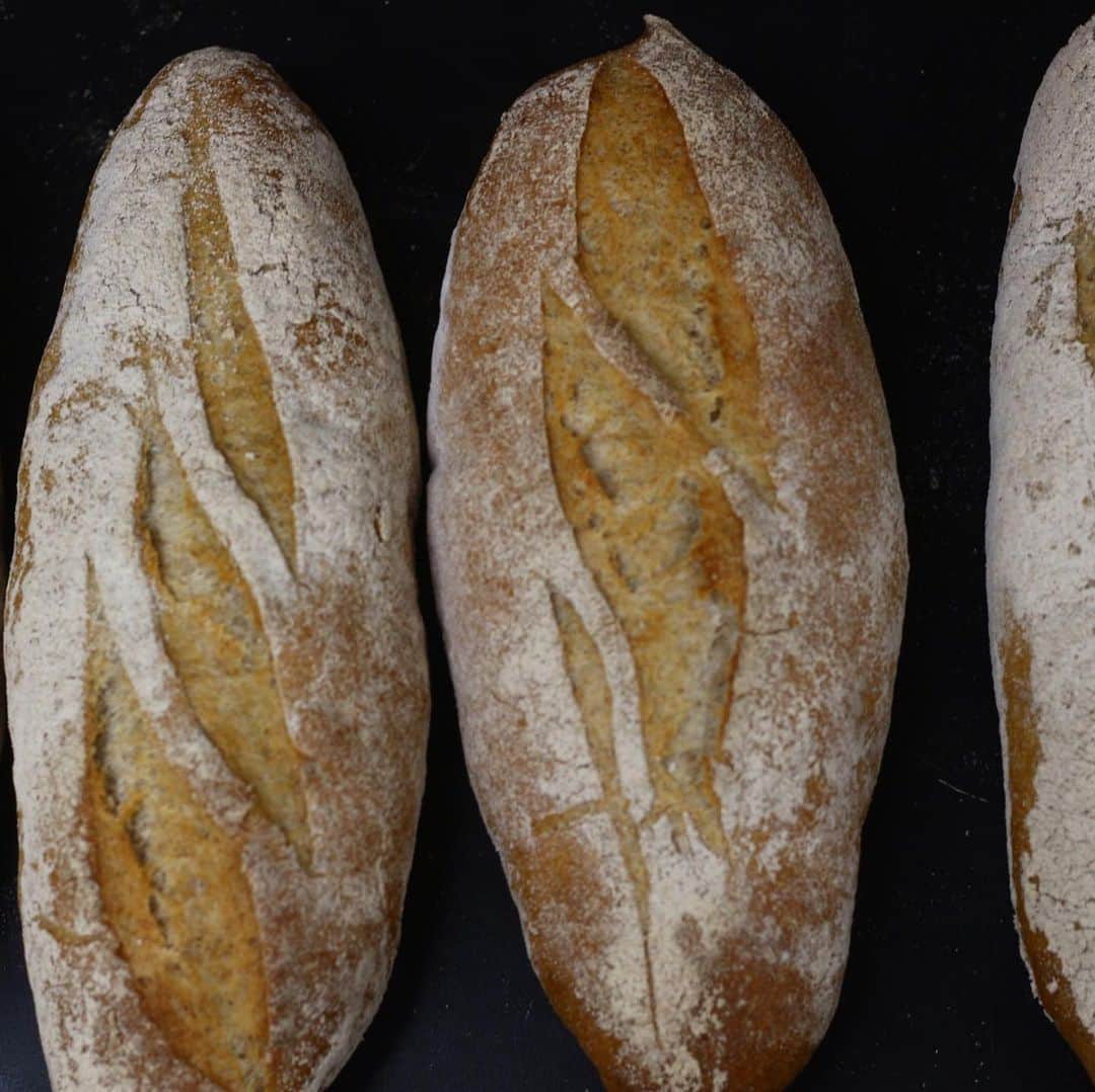 魔女菅原のグルメインスタ