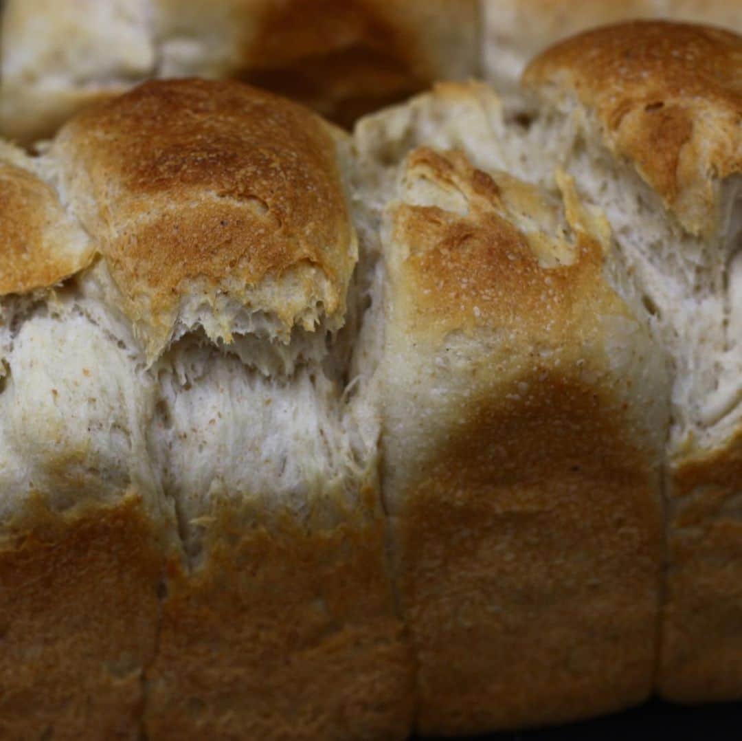 魔女菅原のグルメインスタ