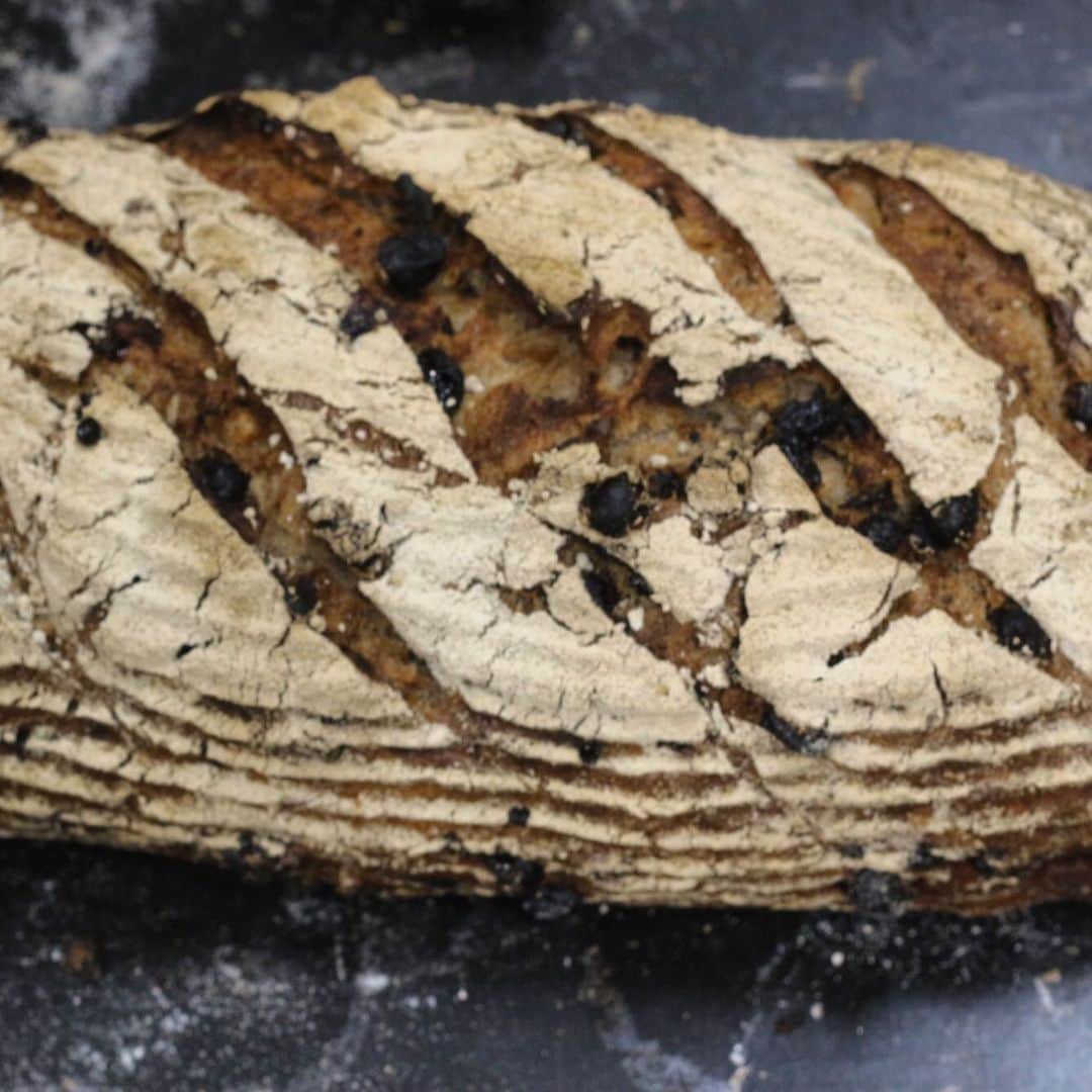 魔女菅原のグルメインスタ